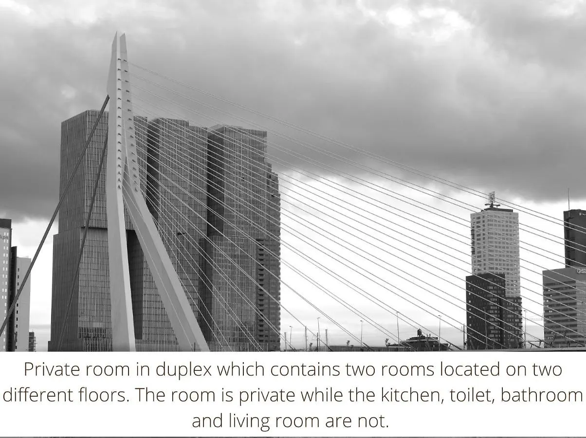 Homestay Rotterdam